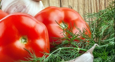 Recept na moření a nakládání rajčat v bulharštině na zimu