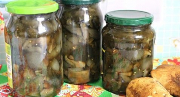 Recept na výrobu nakládaných hub na zimu ve sklenicích