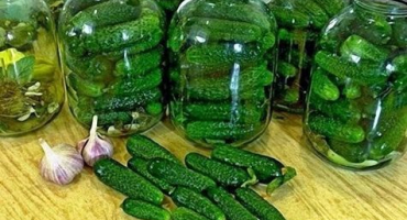 Recepty na konzervované darebné okurky s vodkou na zimu