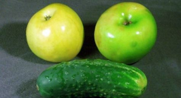 Recepty na nakládání okurek s jablky na zimu