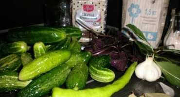 Recepty na nakládané okurky s bazalkou na zimu