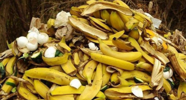 Recepty na hnojivo z banánové slupky pro rostliny a jak aplikovat zálivku