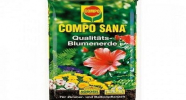 Hodnocení nejlepších půd pro sazenice a jak vybrat nejvyšší kvalitu