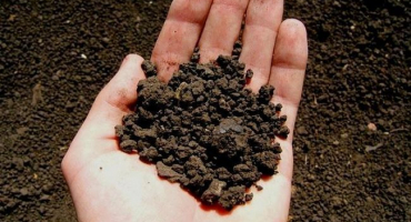 Jaký je důvod znečištění půdy různými těžkými kovy a 6 způsobů kontroly