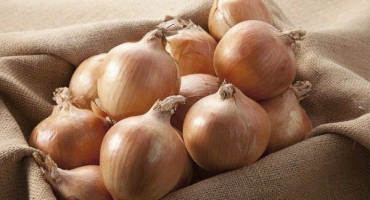 Nejúčinnější způsoby skladování cibule