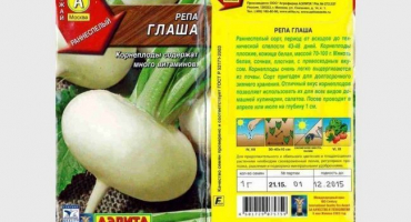 Nejchutnější a nejproduktivnější odrůdy tuřínu