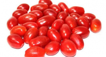 Nejchutnější recepty na konzervovaná rajčata se švestkami na zimu