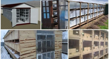 Schémata a nákresy boudy pro králíky, návod pro kutily