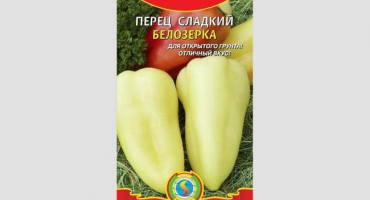 Bílá sladká paprika: vlastnosti výsadby a pěstování odrůdy