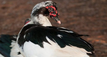 Vnitřní udržování doma v zimě