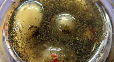 Solená zelená rajčata v sudech (nakládání rajčat)