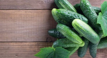 Smaragdové náušnice odrůdy okurka