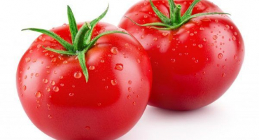 Odrůda rajčat blagovest