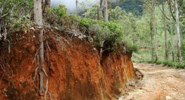 Složení a charakteristika červenohnědých půd, formační faktory