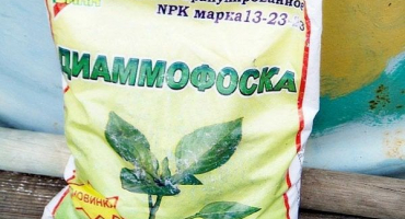 Složení a vlastnosti hnojiva diammofosk, použití v zahradě