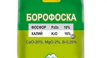 Složení a návod k použití borofosky, kdy a jak hnojivo aplikovat