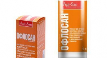 Složení a návod k použití oflosanu, dávkování pro kuřata a analogy