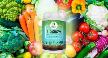 Složení a návod k použití biogrow hnojiva, dávkování a analogy