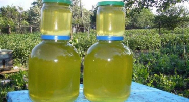 Složení zeleného medu a odkud pochází odstín, užitečné vlastnosti a kontraindikace