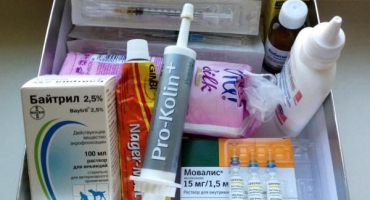 Seznam léků pro králíky a jejich účel, co jiného by mělo být v lékárničce