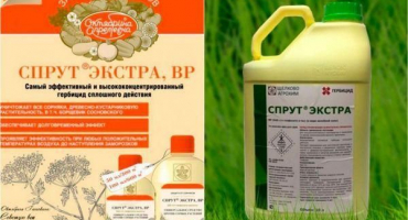 Způsob a návod k použití kontinuálního herbicidu chobotnice extra