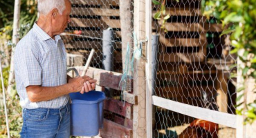 Metody dezinfekce kurníku