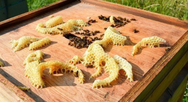 Metody tavení vosku bez taviče vosku