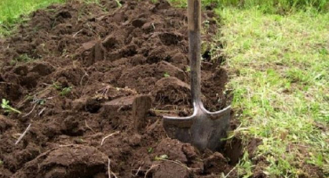 Struktura půdy v řezu v pořadí a jak se její vrstvy od sebe liší