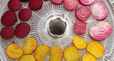 Sušení zeleniny doma je nutností