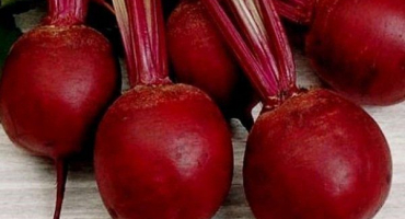 Boršč z červené řepy