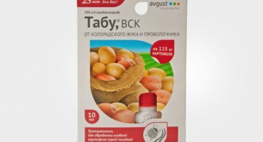 Taboo je spolehlivým ochráncem brambor před mandelinkou bramborovou