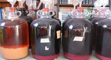 Teplota pro klidné kvašení vína doma, potřebujete vodní uzávěr