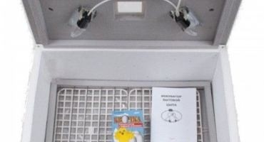 Termostaty inkubátoru: přehled možností + samovýroba