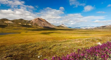 Typy a charakteristiky tundrových půd, podmínky vzniku a opatření ke zlepšení