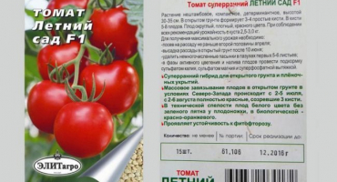 Letní zahrada rajčat: popis odrůdy a pravidla výsadby