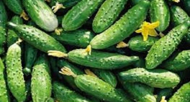 Top 10 receptů na pražské okurky s citronem a kyselinou citronovou na zimu, doma