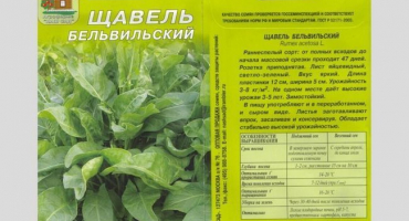 Top 10 odrůd šťovíku pro pěstování