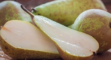 Top 12 jednoduchých receptů na výrobu hruškového želé na zimu