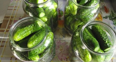 Top 12 receptů na solení křupavých a lahodných okurek na zimu