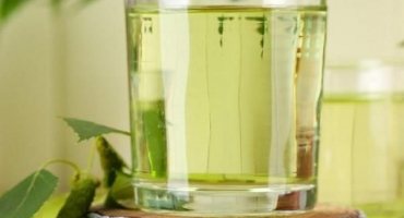 Top 13 receptů na uchování březové mízy doma na zimu