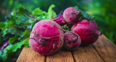 Top 13 receptů na přípravu salátů z červené řepy krok za krokem na zimu