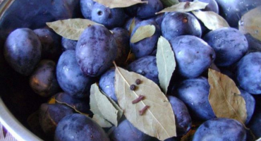 Top 15 receptů na výrobu nakládané švestky na zimu