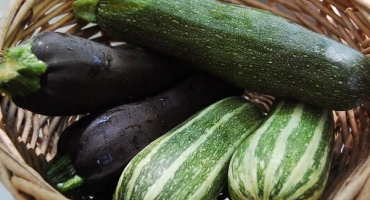 Top 16 nejchutnějších receptů na přípravu cuketových polotovarů na zimu