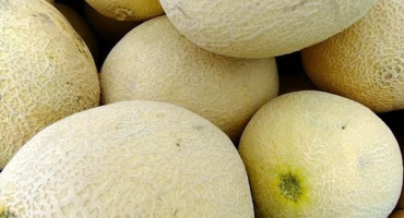 Top 2 jednoduché recepty na kandované slupky z melounu na zimu doma