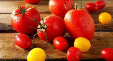 Top 2 recepty na nakládání rajčat s černým a červeným jeřábem na zimu