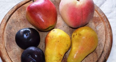 Top 3 jednoduché recepty na zimu z hruškového a švestkového kompotu