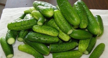 Top 3 recepty na okurky v jarní vodě na zimu