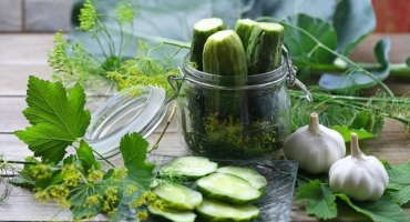 Top 5 receptů na výrobu nakládaných okurek na zimu
