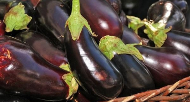 Top 6 receptů na výrobu nakládaných lilků s pepřem na zimu