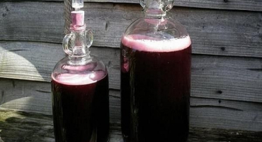 Top 6 receptů na výrobu vína z hroznové šťávy a jak si ho vyrobit doma